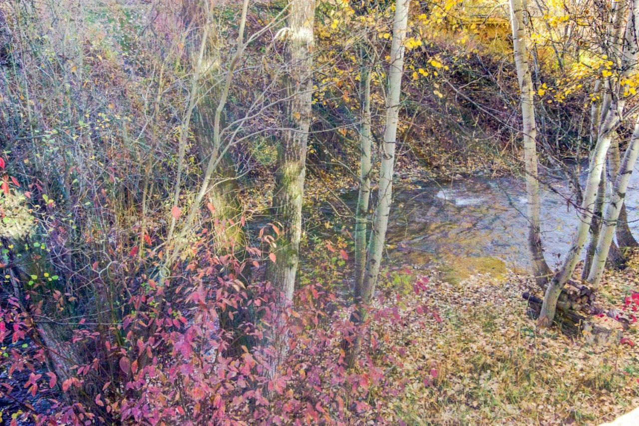Bridgepoint Condo On Trail Creek Ketchum Zewnętrze zdjęcie